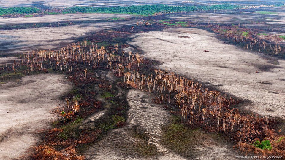 A barren land in Rodônia Amazonia, Credits to Vinícius Mendonça/Ibama