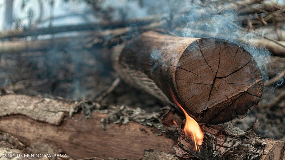 Wooden logs on fire in Rodônia, Amazonia. Credits to Vinícius Mendonça/Ibama