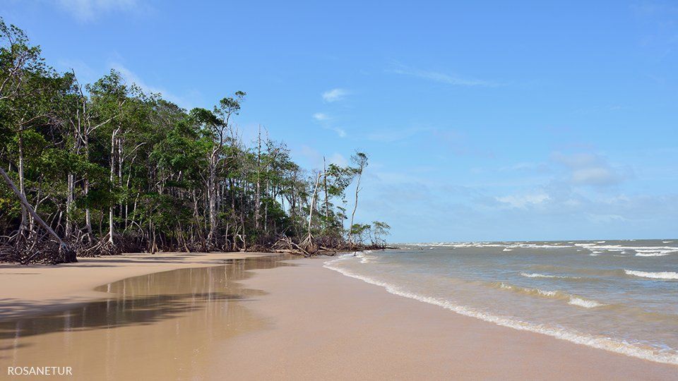 Ile de Pará et Marajó - Crédits à Rosanetur