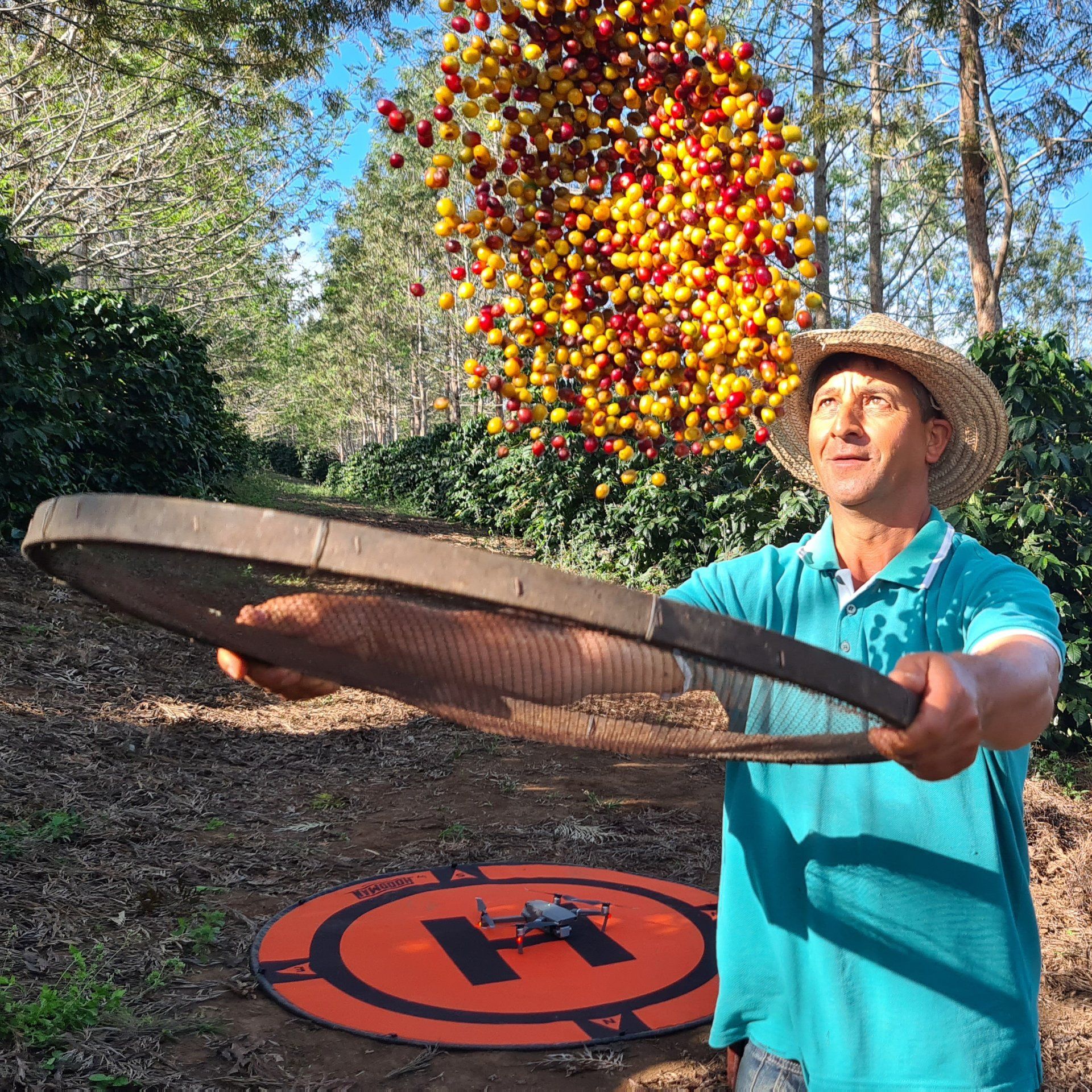A man holds a giant strainer while separating coffee beans
