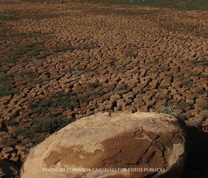un rocher posé sur une terre aride