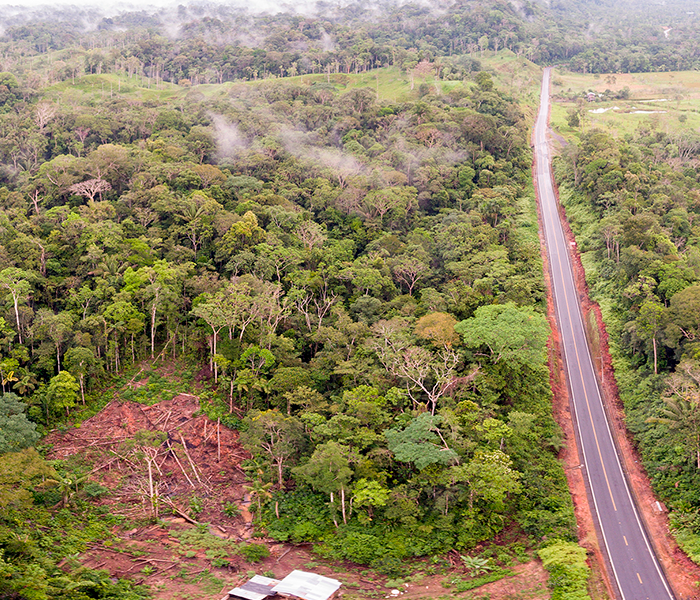 A deforested site on the side of the main highway in the Amazon Rainforest