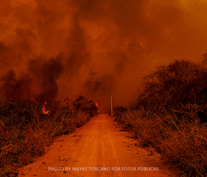 A dirt road goes through a burning field within a cloud of smoke