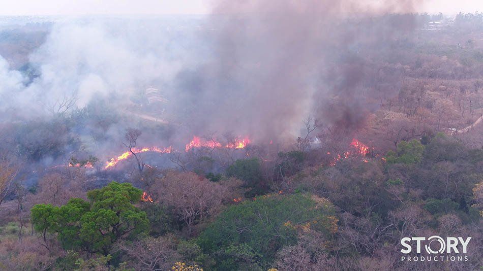Vista aérea de queimada na Amazônia