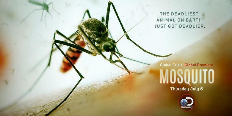 mosquito documentary for yap films