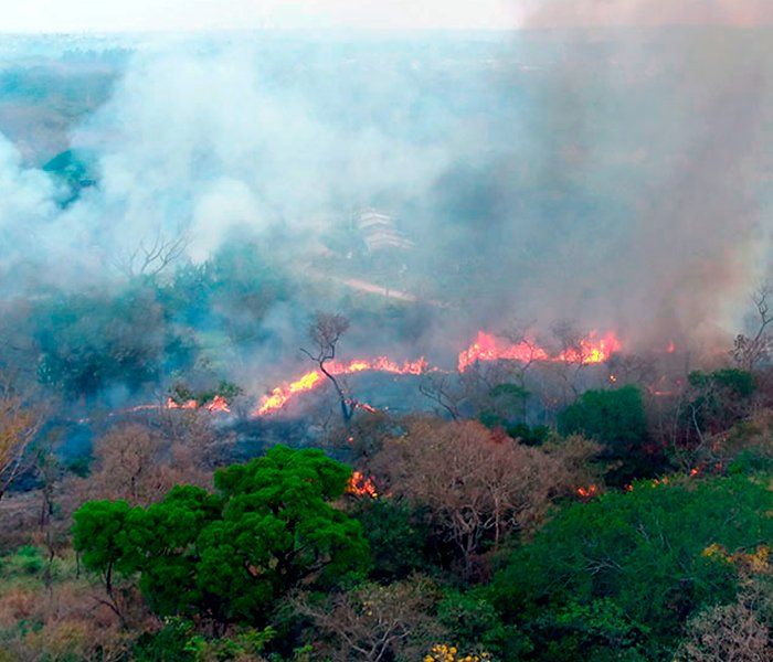 Incendio en el Amazonas visto desde arriba