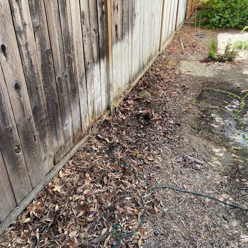 Carrillo's family junk removal photos