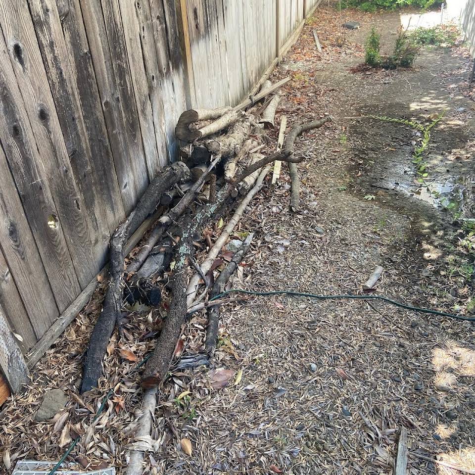 Carrillo's family junk removal photos