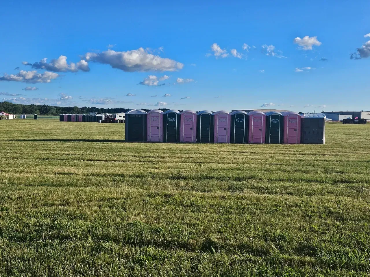 A row of purple portable toilets in a grassy field.