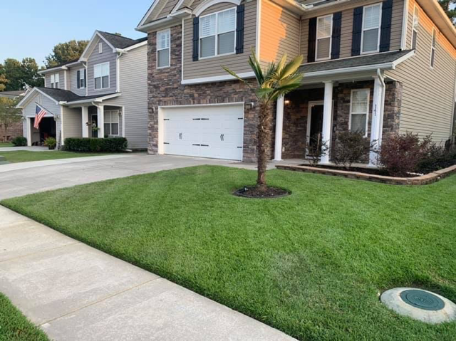 Suburban house with a two-car garage, manicured lawn, and palm tree by the driveway.