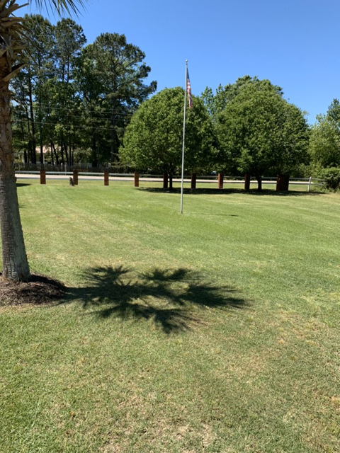 Sunny park lawn with trees, a flagpole, and shadows on the grass.