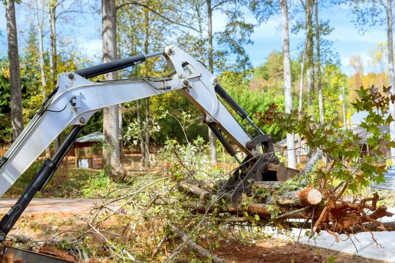Excavator arm clearing fallen branches in a wooded area on a sunny day