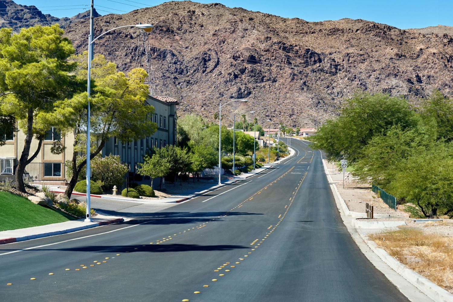 A paved road curves through a residential area with trees and a mountain in the background.