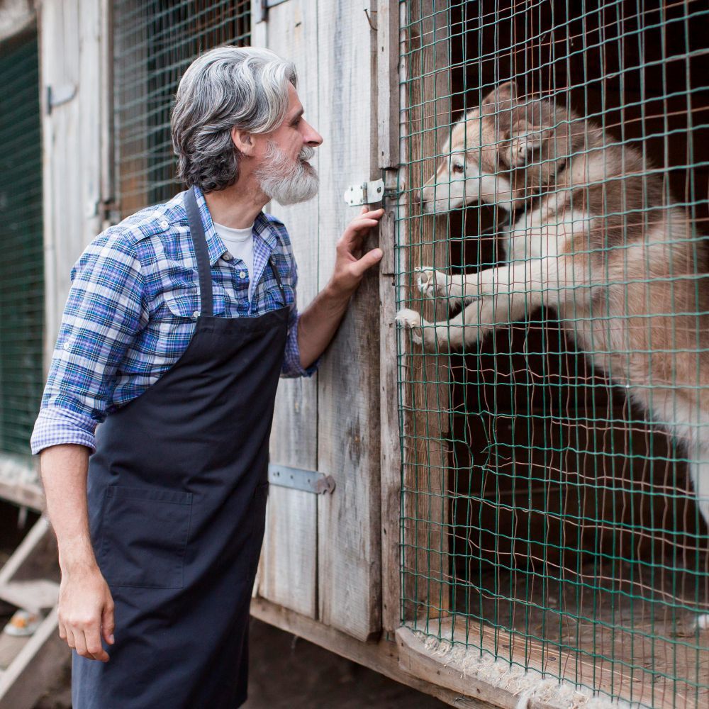 Man in apron talks to dog in a kennel. The dog paws at the cage, looking up.