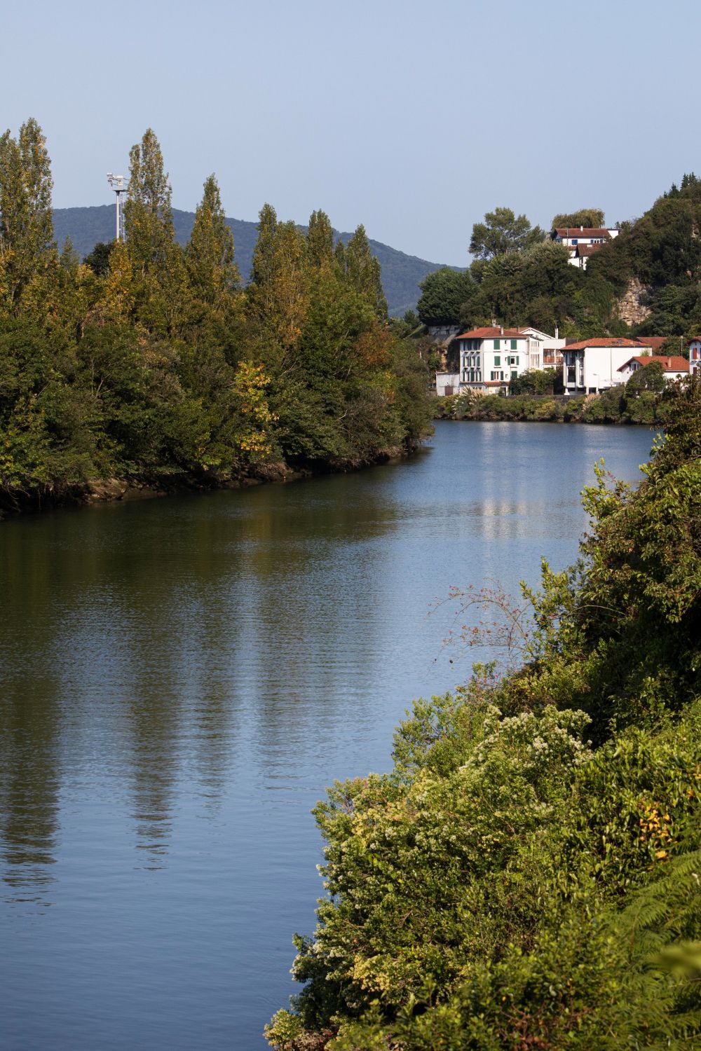 River winding between trees and white buildings on a sunny day.