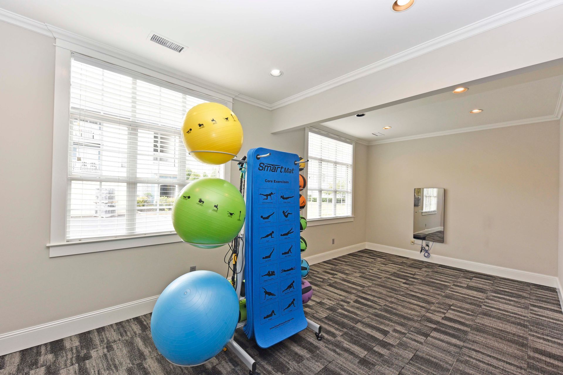 Gym interior with exercise balls and a blue storage rack near a window with blinds.