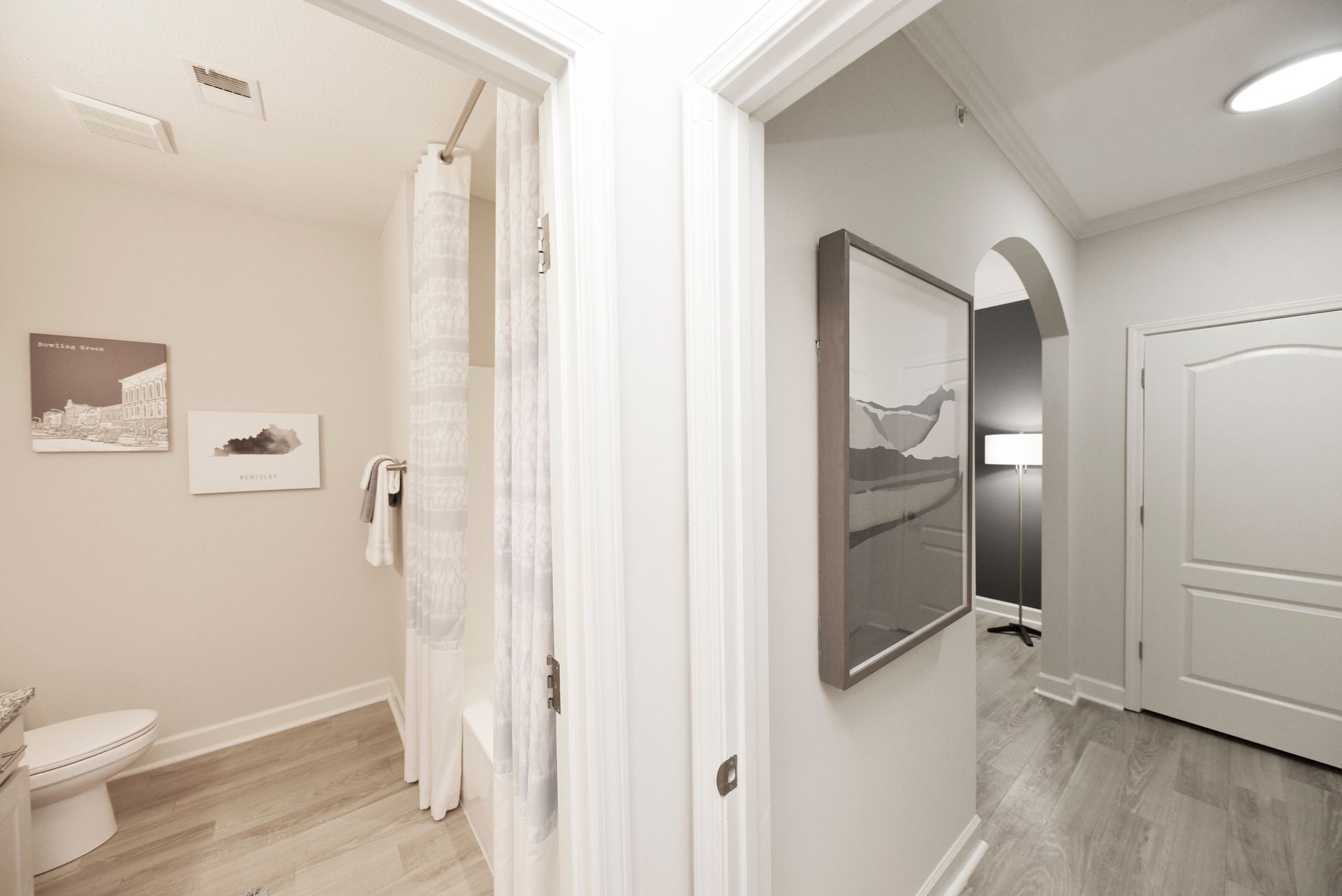 Hallway with bathroom on the left, artwork, arched doorway, and a closed door to the right.