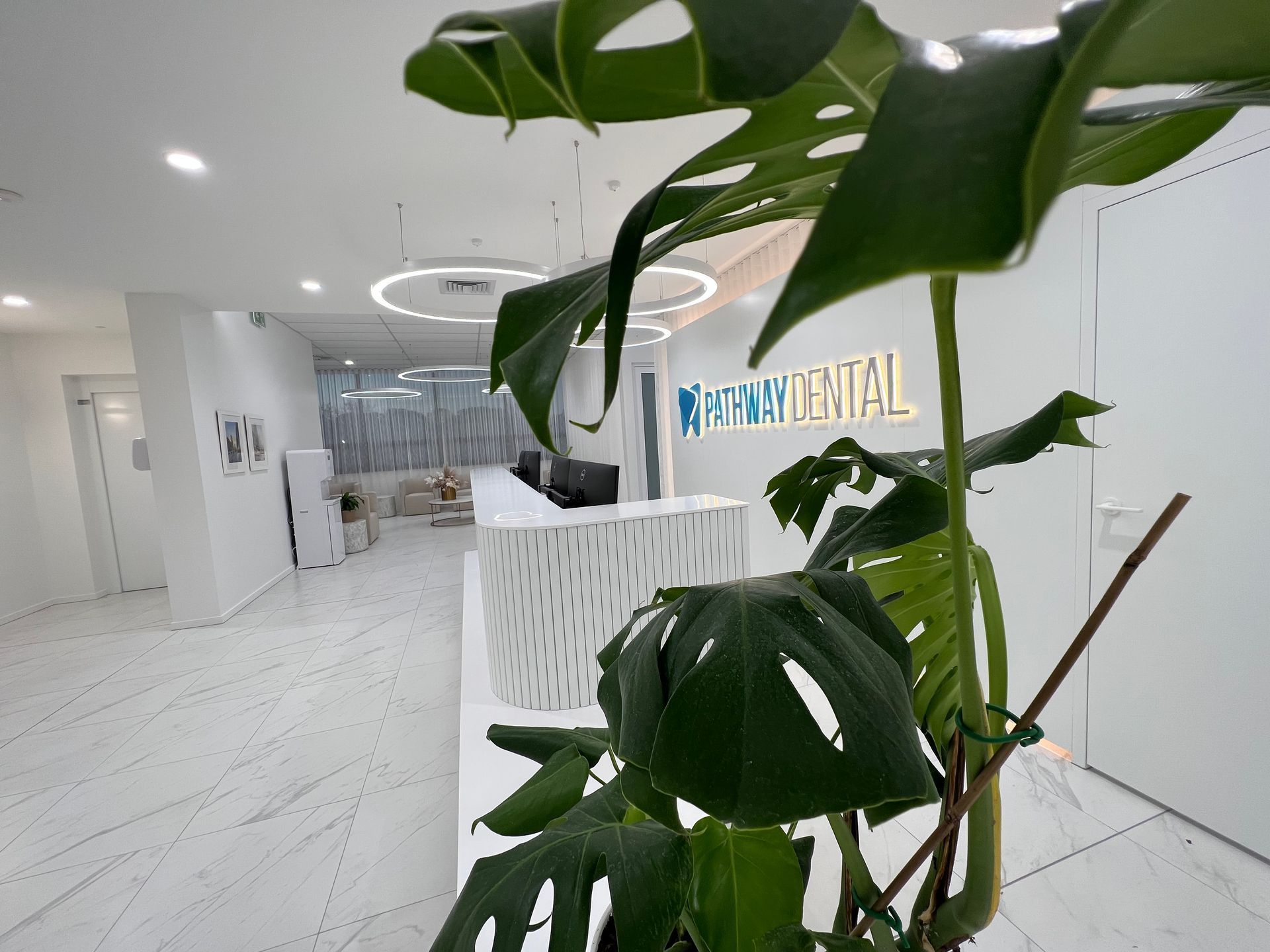 A plant is sitting in front of a reception desk in a dental office.