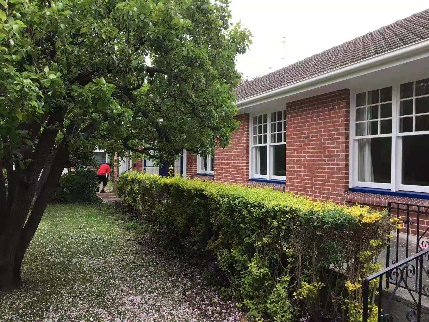 A brick house with white windows and a tree in front of it.