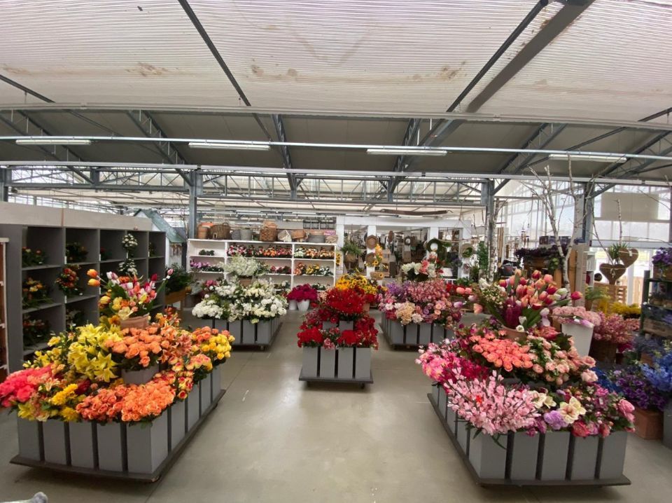 Fiori recisi di vario tipo