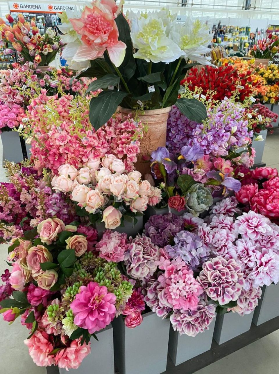 Fiori recisi colorati