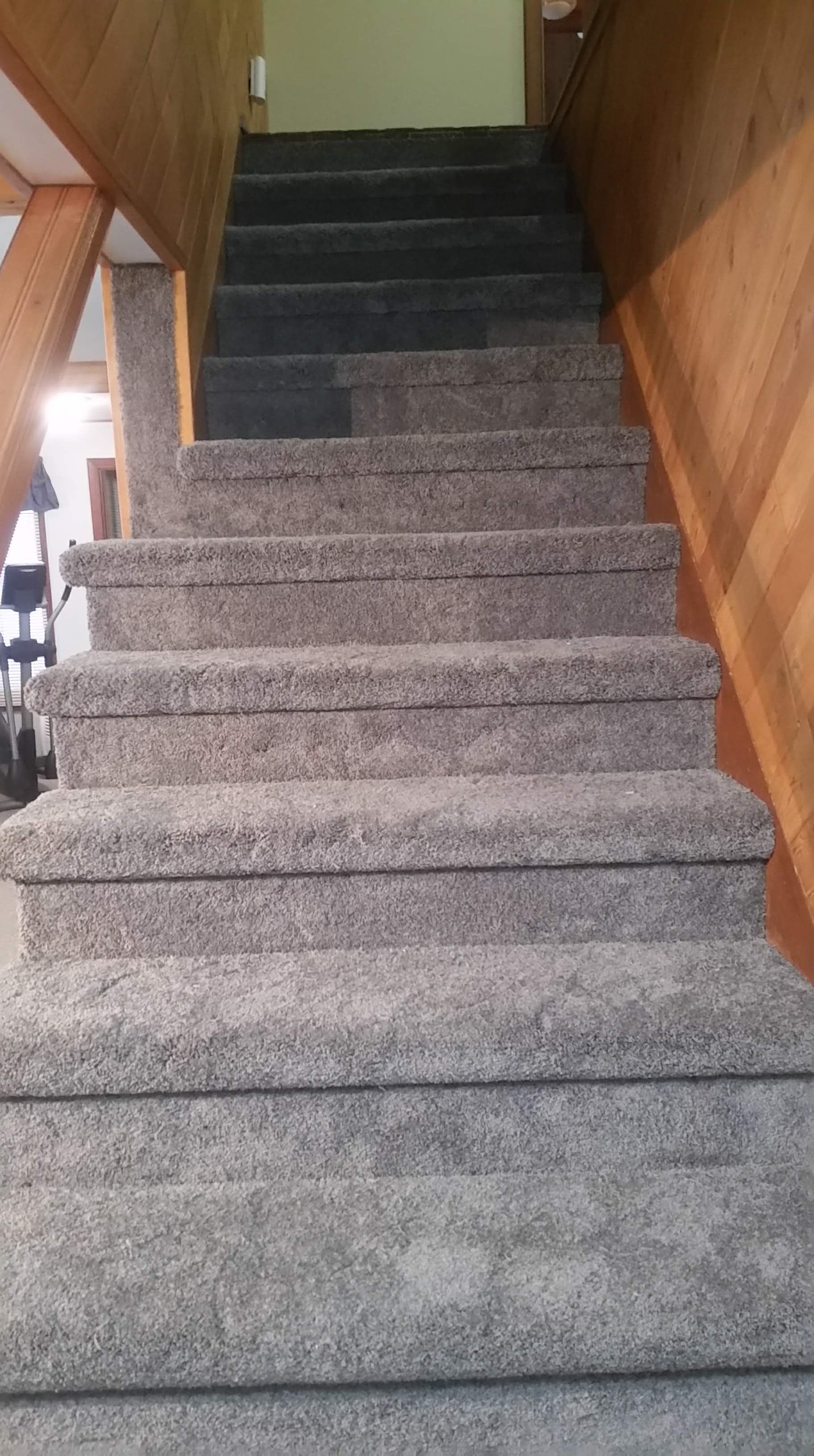 Gray carpeted staircase leading upward, surrounded by wood paneling on the walls.