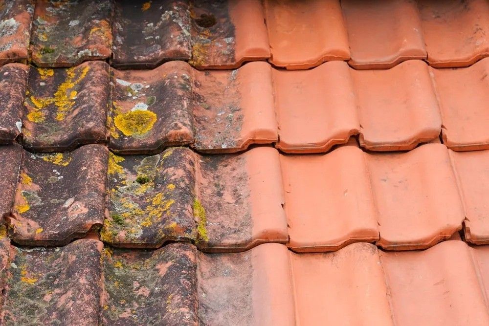 A Close Up of a Roof Tile Before and After Being Cleaned — Roofpoint In Kawungan, QLD