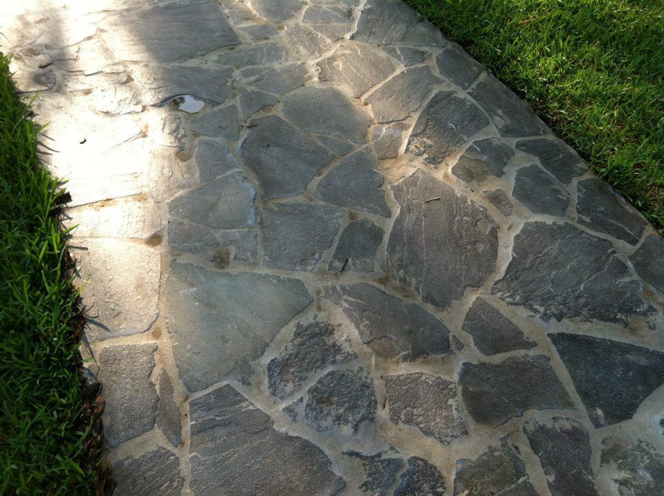 Stone path bordered by green grass, angled sunlight.