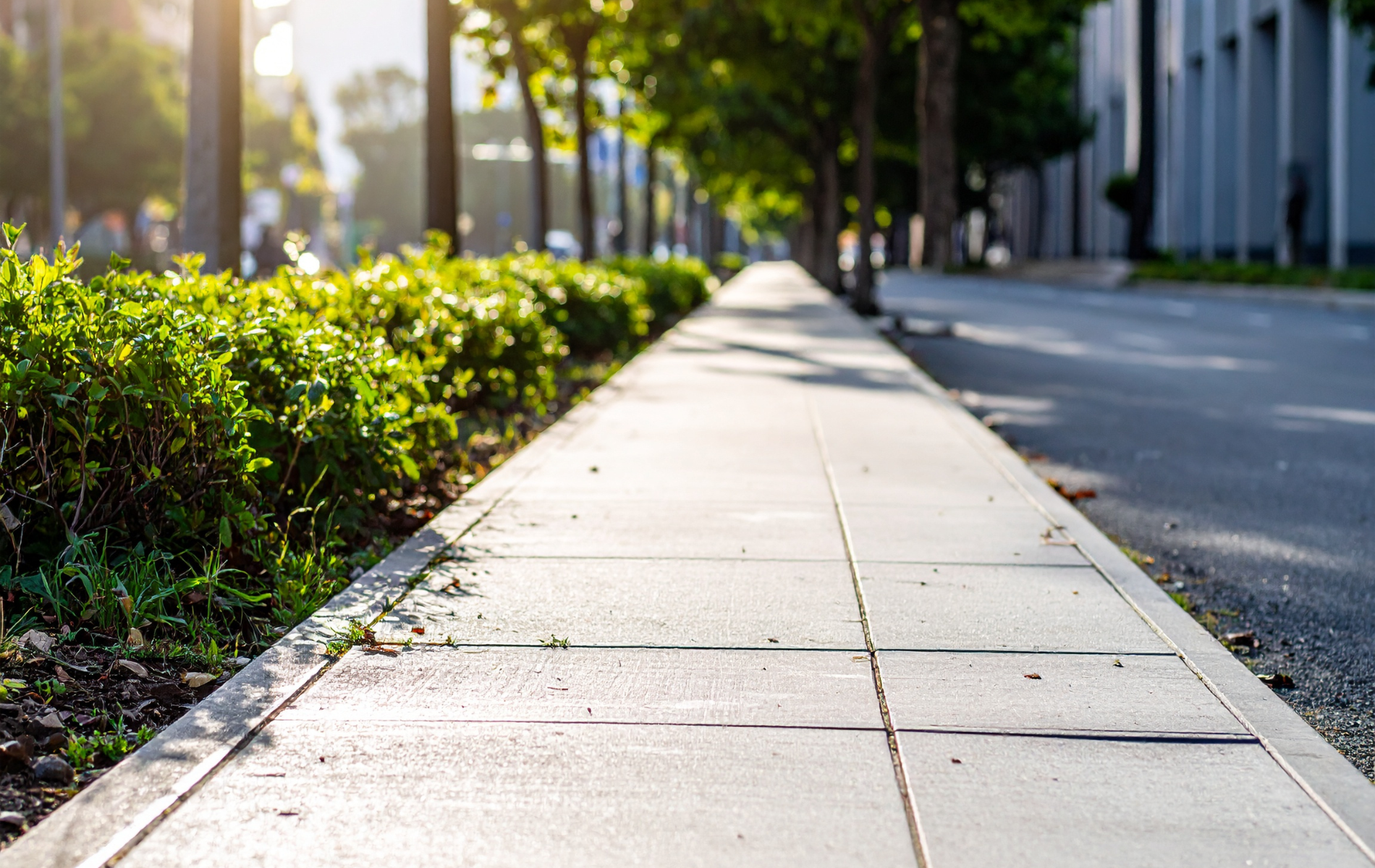 Sidewalk lined with green bushes and trees, beside a road and buildings. Sunny day.