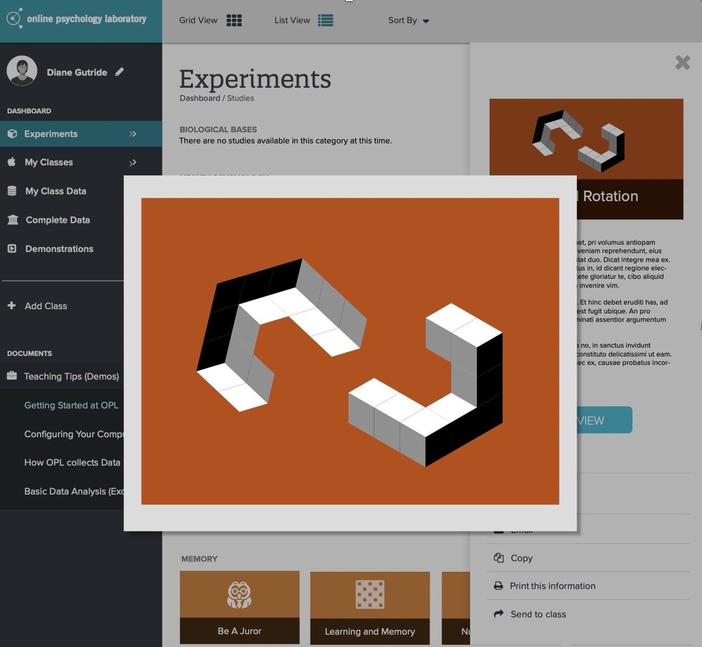 A computer screen shows a picture of an optical illusion called experiments
