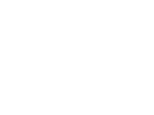 Homes American Made Co. logo