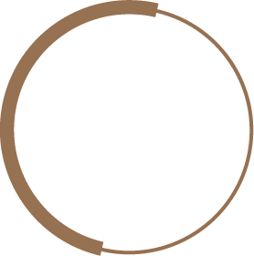 Brown circle with two short breaks in the ring, resembling a progress indicator.