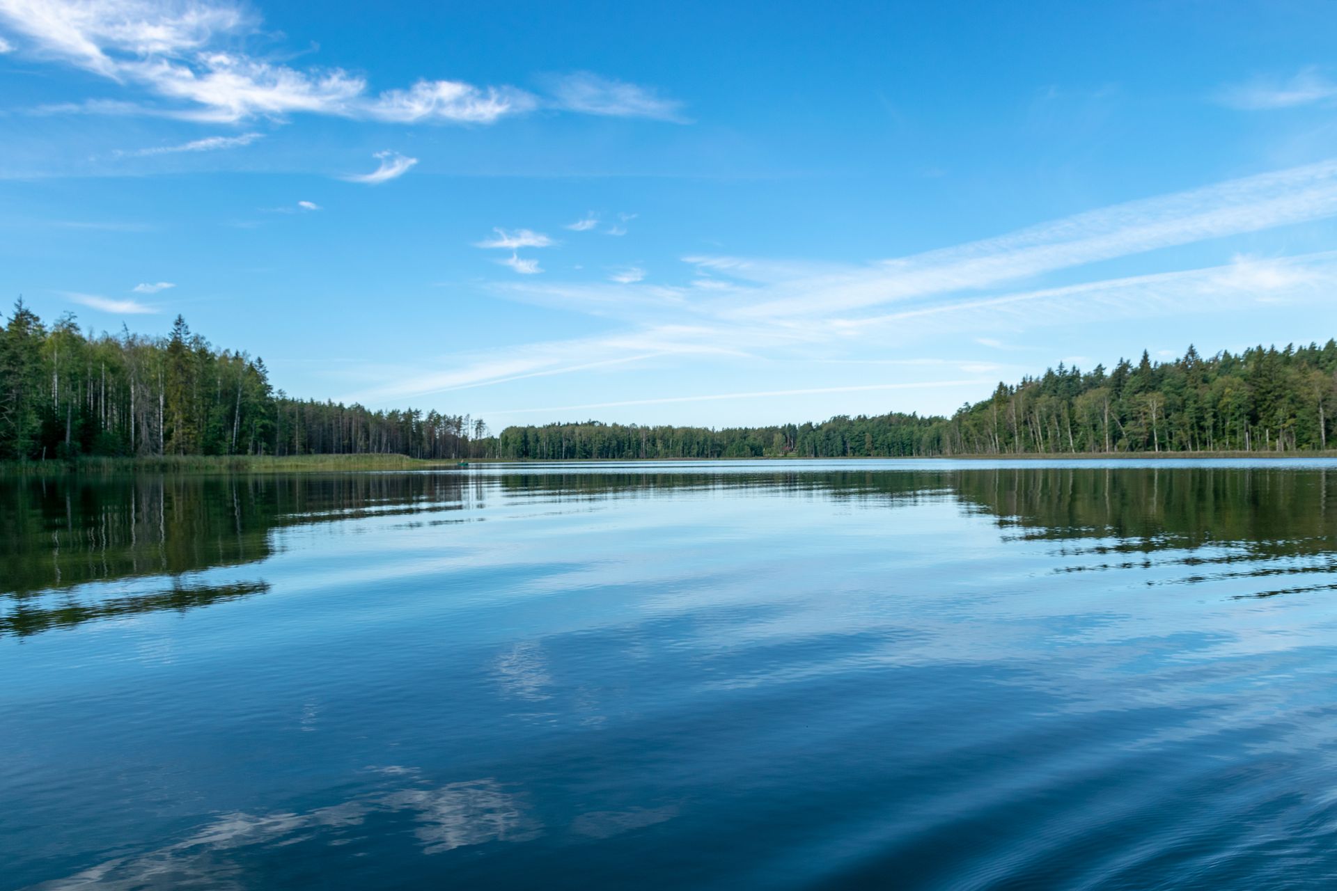 A large body of water surrounded by trees on a sunny day.
