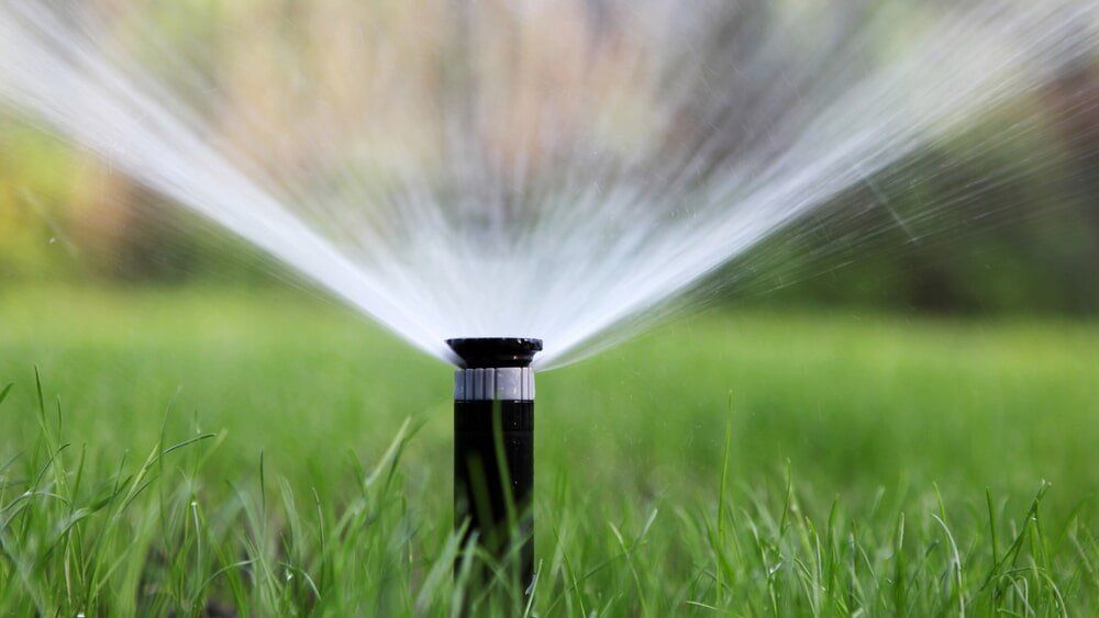 A sprinkler is spraying water on a lush green lawn.