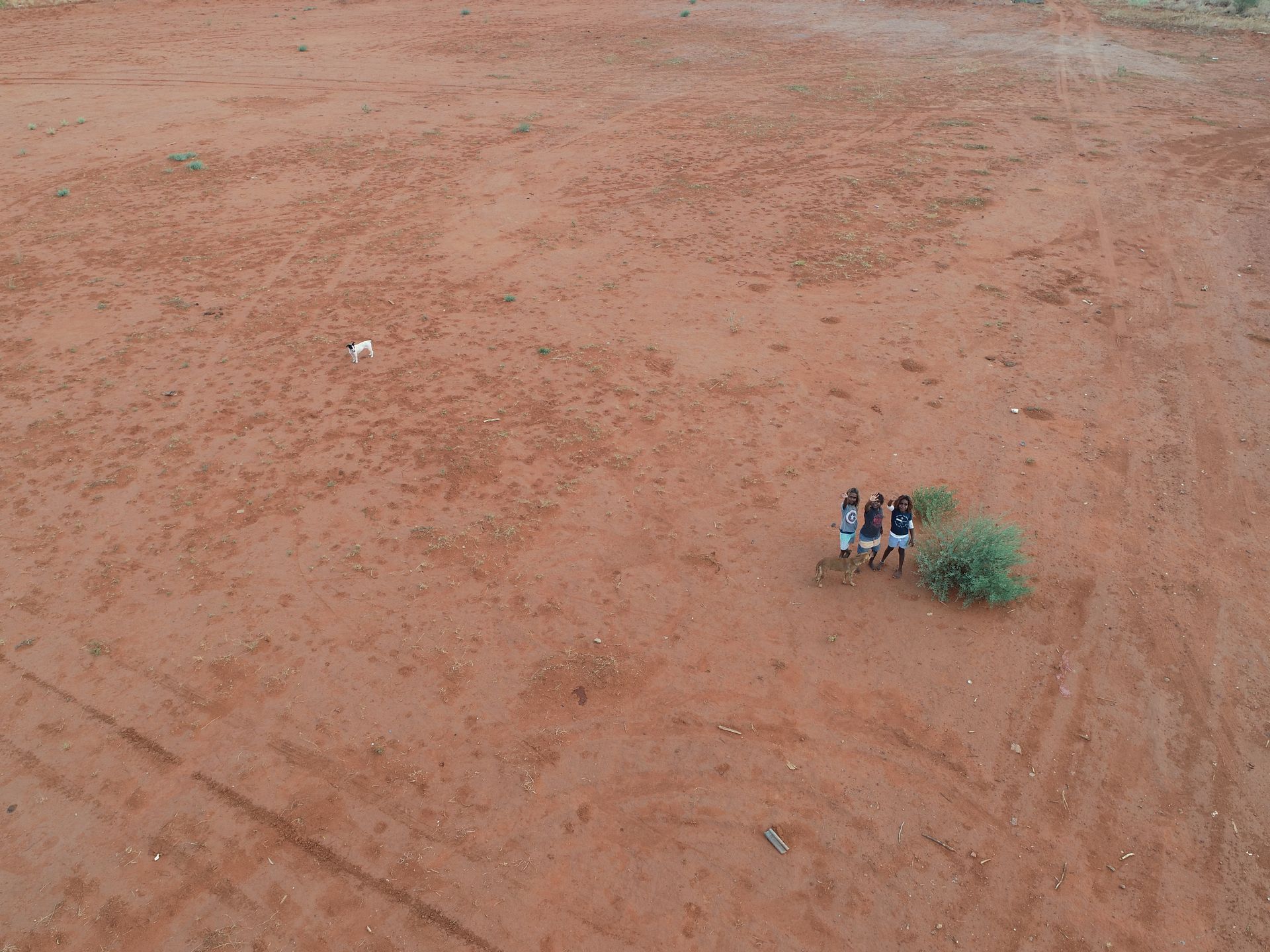 An aerial view of a group of people standing in a dirt field.