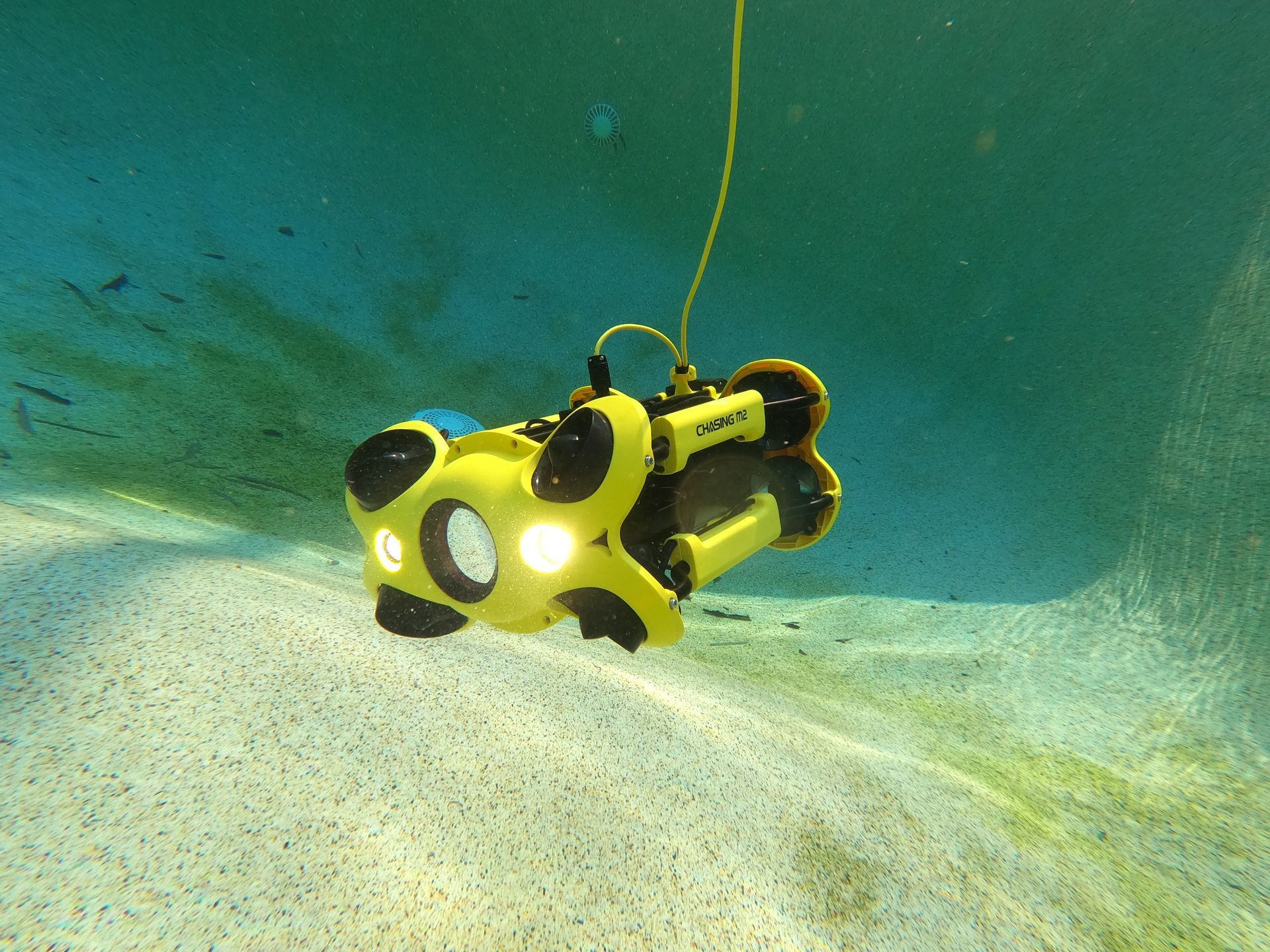 A yellow and black underwater robot is swimming in a pool.