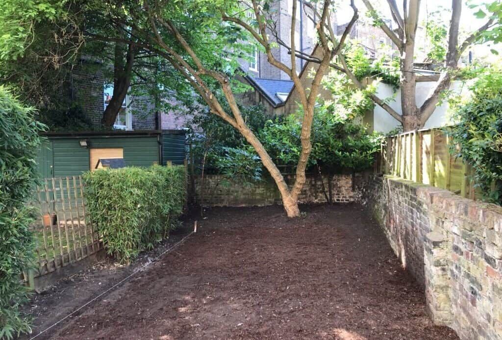 Backyard with mulch ground, tree, shed, fences, and brick wall.