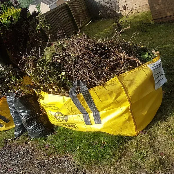 Yellow yard waste bag filled with branches and green leaves on grass.