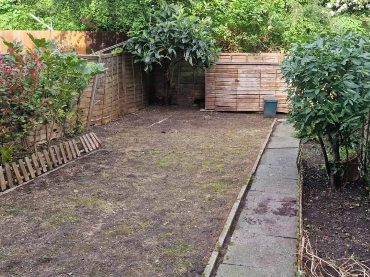 A small backyard with brown dirt and patchy grass, a wooden shed, a concrete path, and bordering foliage.