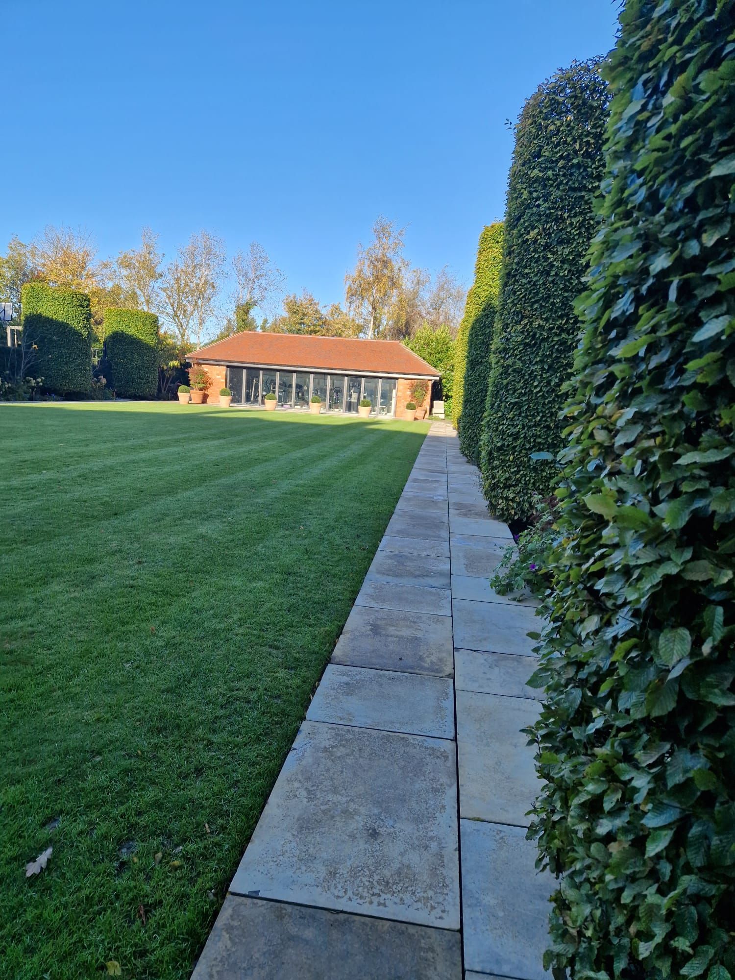A manicured lawn bordered by a stone wall and tall hedges leads to a building with glass doors, under a blue sky.