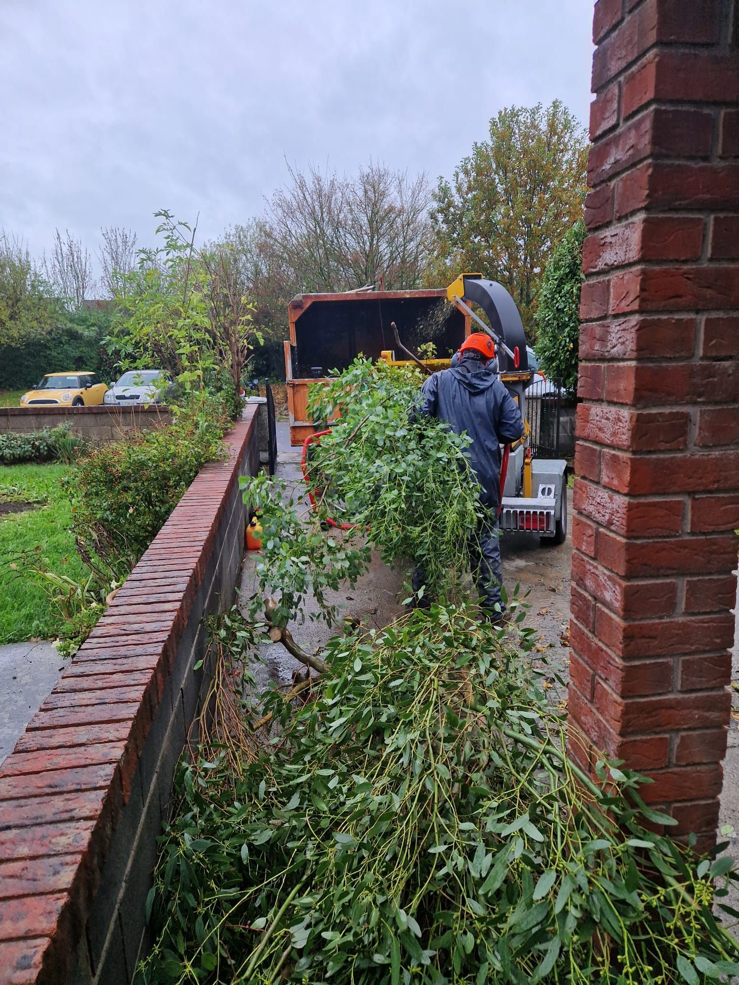 Man feeding tree branches into a wood chipper in a residential driveway. Brick structures and foliage present.
