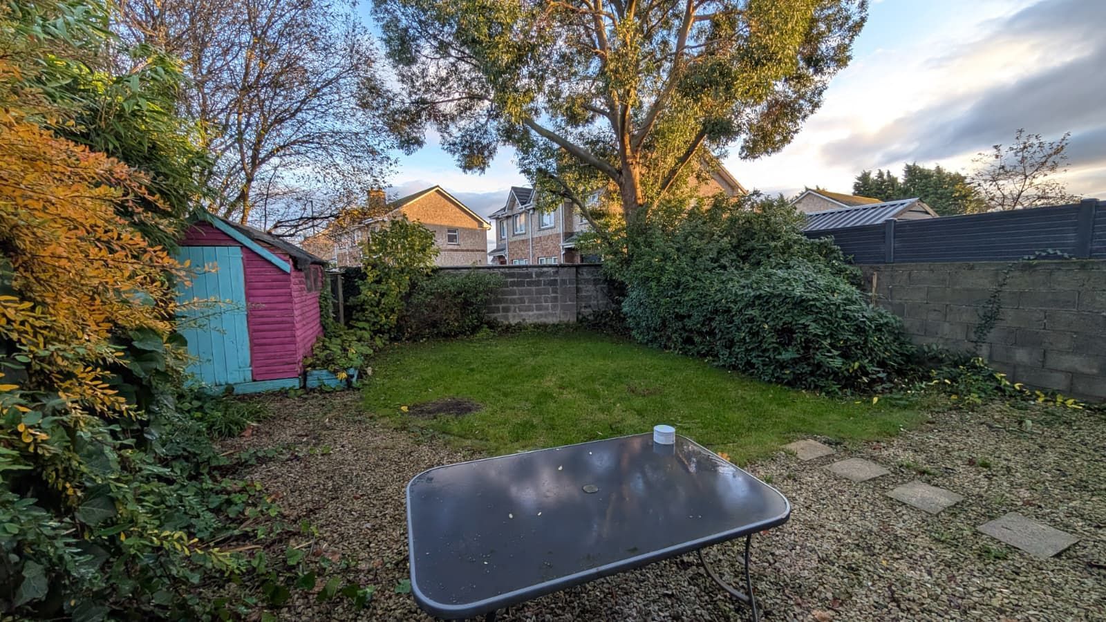 Backyard with small shed, green lawn, and table; houses visible in the background.