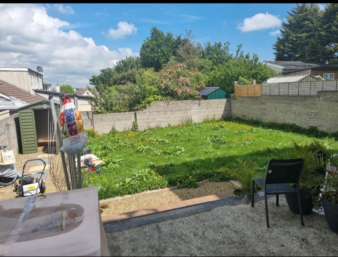 Backyard with grass, shed, concrete walls, chair, and a sunny sky.