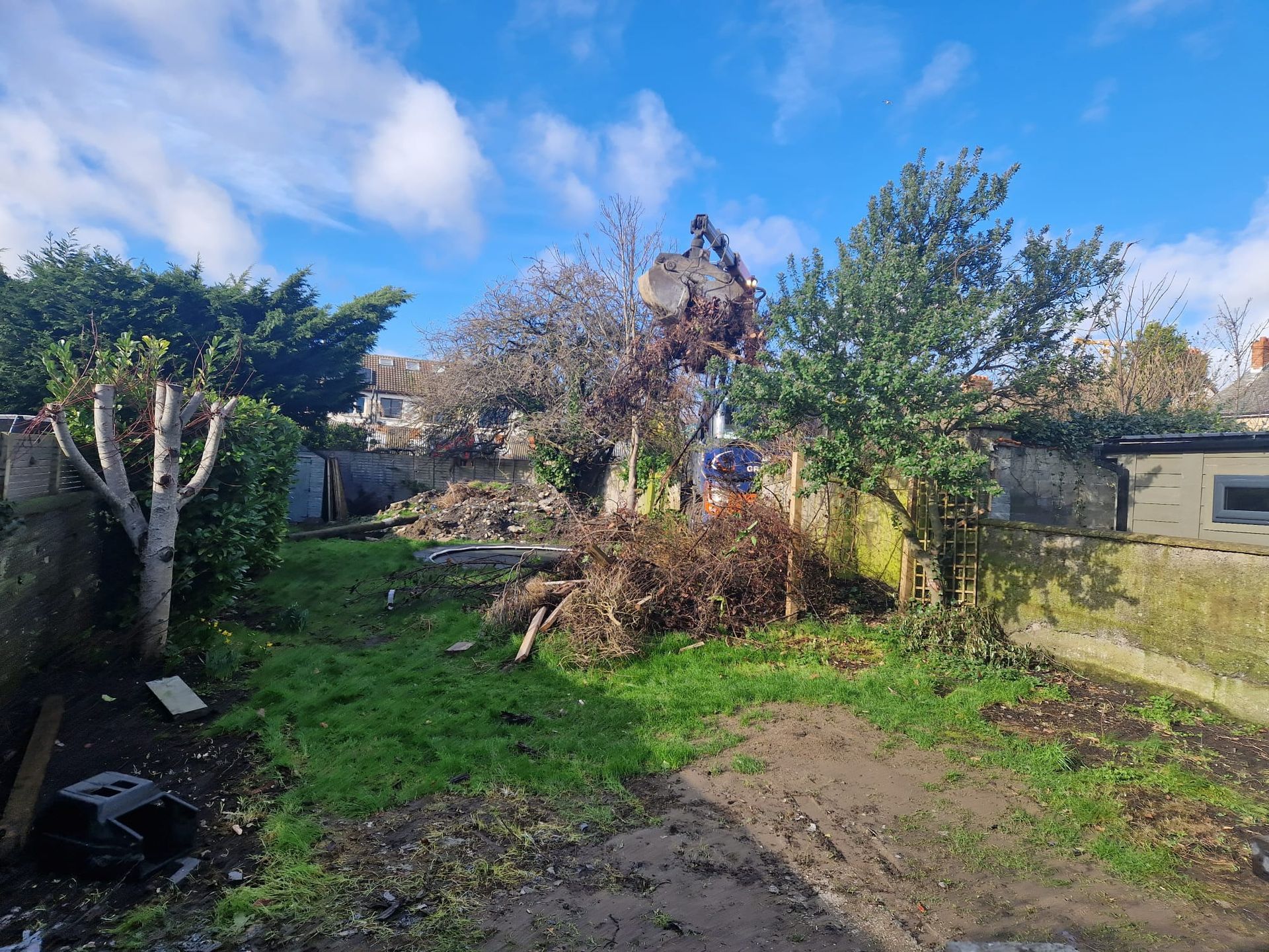 Backyard with small shed, green lawn, and table; houses visible in the background.