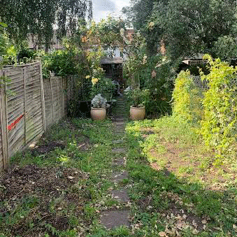 A neglected garden path flanked by fences and overgrown plants, leading to a structure.