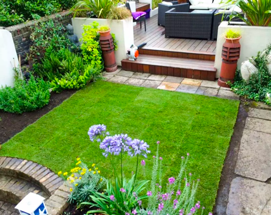 A lush green lawn surrounded by garden beds and a wooden deck. Purple flowers in foreground.
