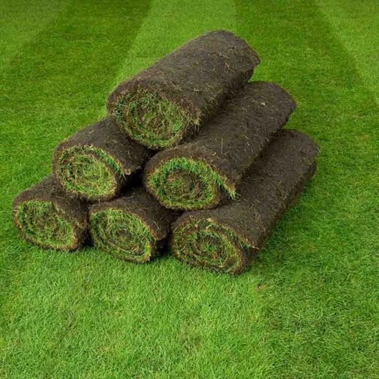Rolled sections of sod stacked on a green grassy surface.