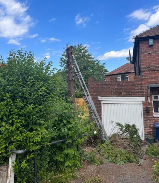 A tall tree stump with a ladder leaning against it next to a brick house and a garage.