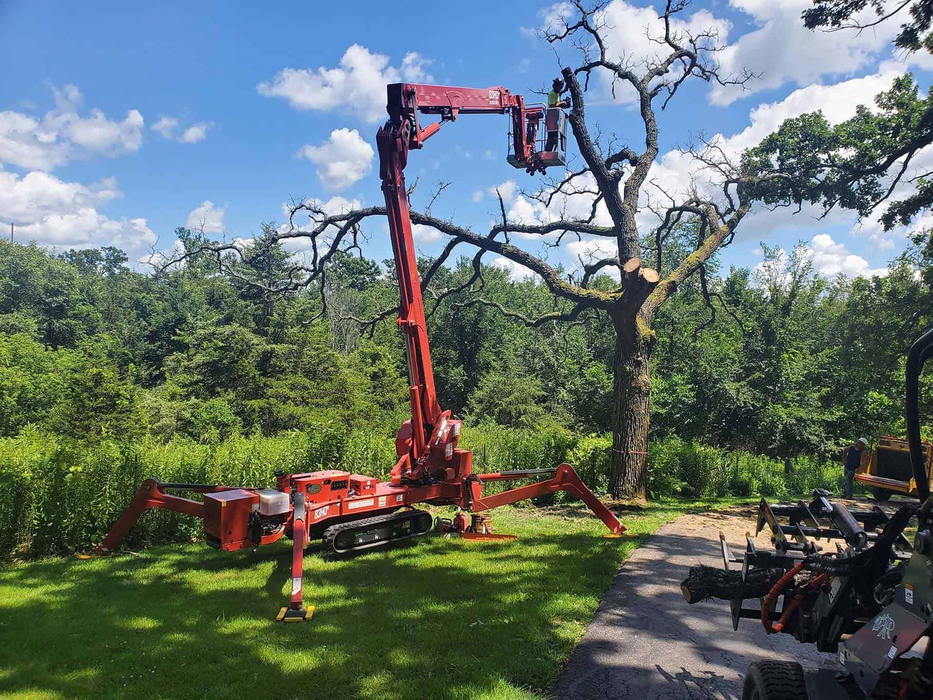 A red crane is cutting a tree in a yard.