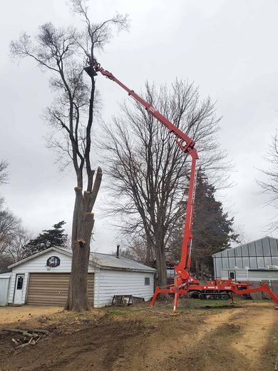 A crane is cutting a tree in front of a house.